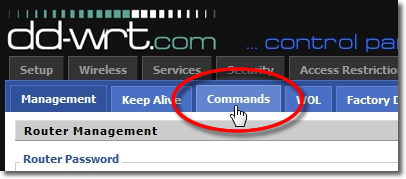 DD-WRT VPN Setup - Part 6 - Login Details