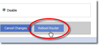 DD-WRT VPN Setup - Part 9 - Local IP address