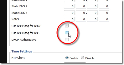 DD-WRT VPN Setup - Part 12 - Static DNS