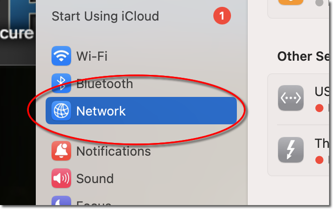 Click Network in System Settings